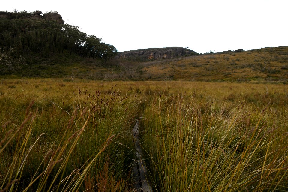 Wog Wog to Corang Peak, Corang Arch and Canowrie Brook, Morton National Park 182