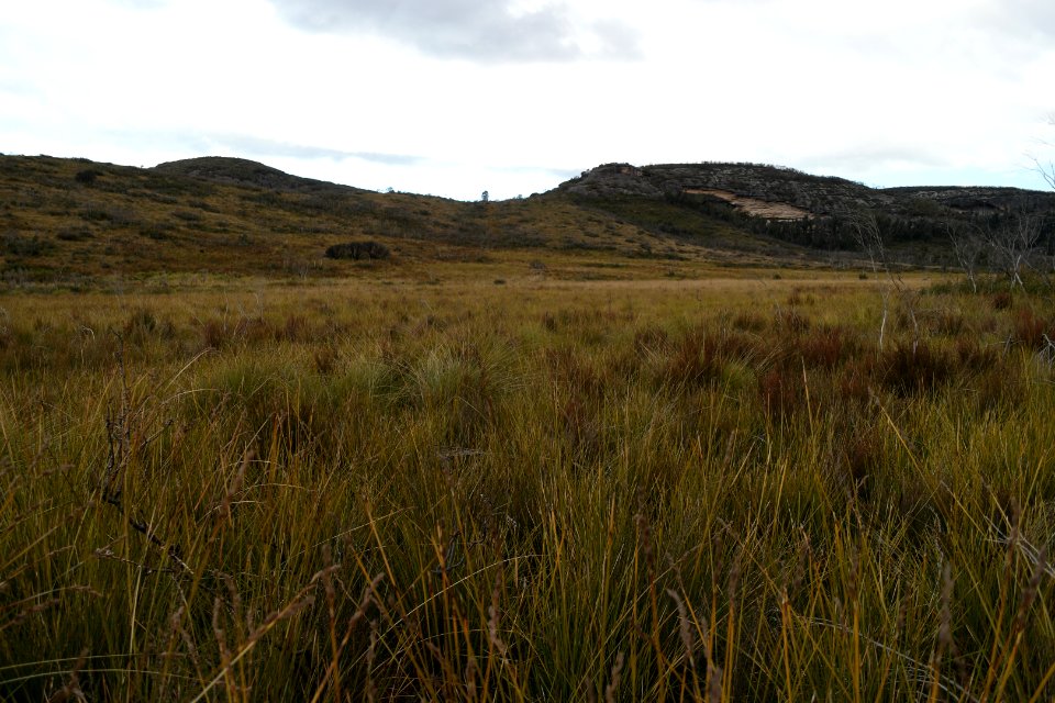 Wog Wog to Corang Peak, Corang Arch and Canowrie Brook, Morton National Park 181