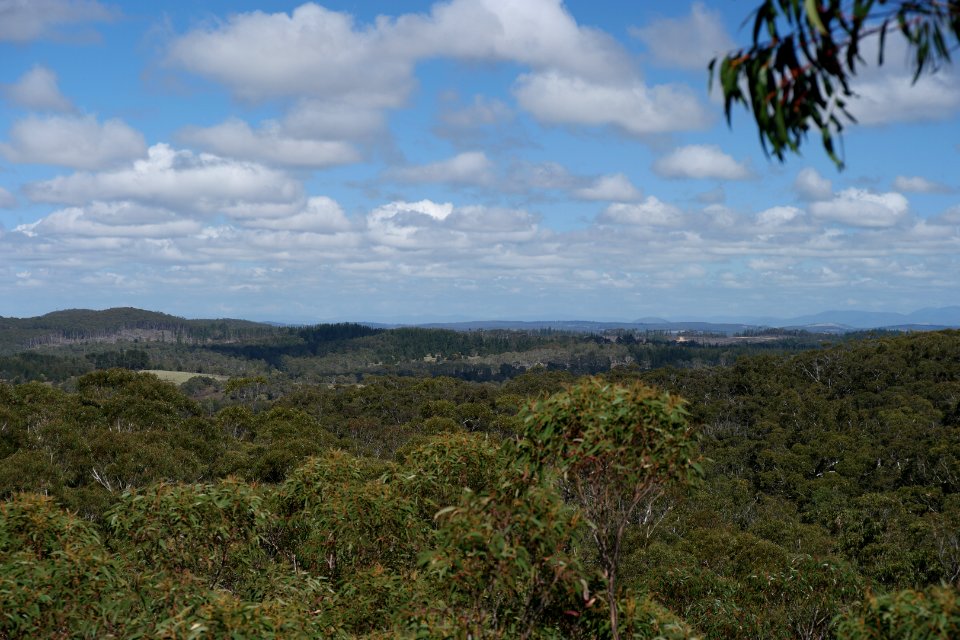 Wog Wog to Corang Peak, Corang Arch and Canowrie Brook, Morton National Park 29