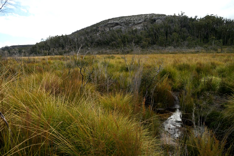 Wog Wog to Corang Peak, Corang Arch and Canowrie Brook, Morton National Park 186
