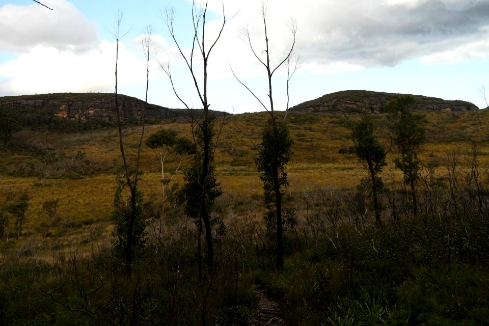 Wog Wog to Corang Peak, Corang Arch and Canowrie Brook, Morton National Park 174