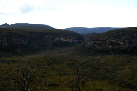 Wog Wog to Corang Peak, Corang Arch and Canowrie Brook, Morton National Park 153