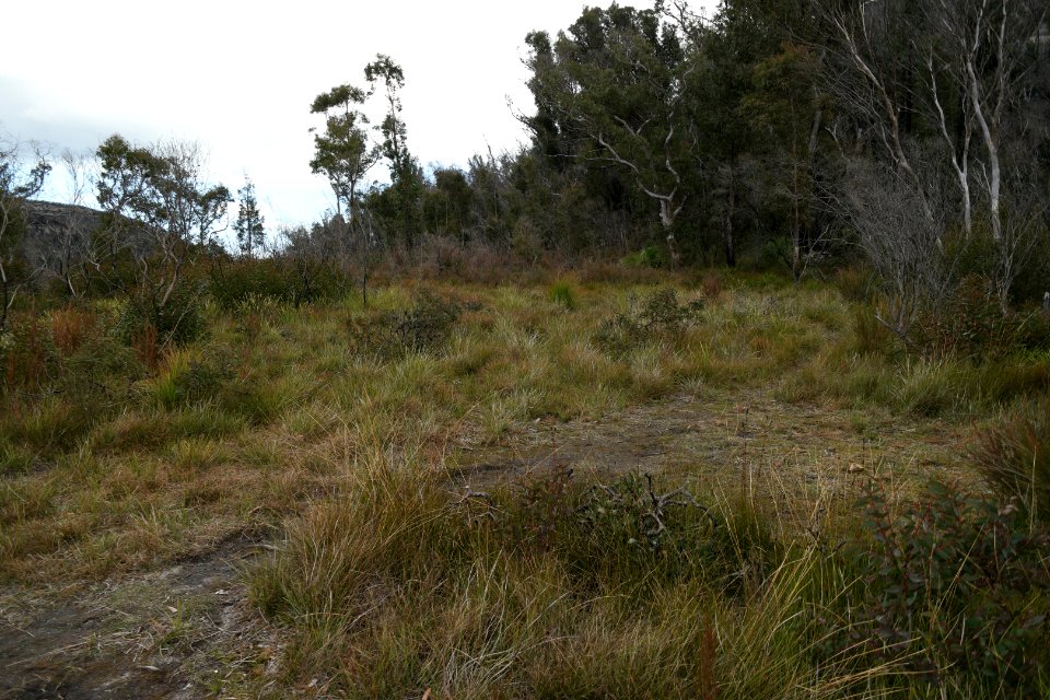 Wog Wog to Corang Peak, Corang Arch and Canowrie Brook, Morton National Park 177