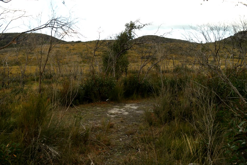 Wog Wog to Corang Peak, Corang Arch and Canowrie Brook, Morton National Park 178