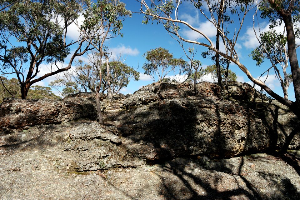 Wog Wog to Corang Peak, Corang Arch and Canowrie Brook, Morton National Park 27