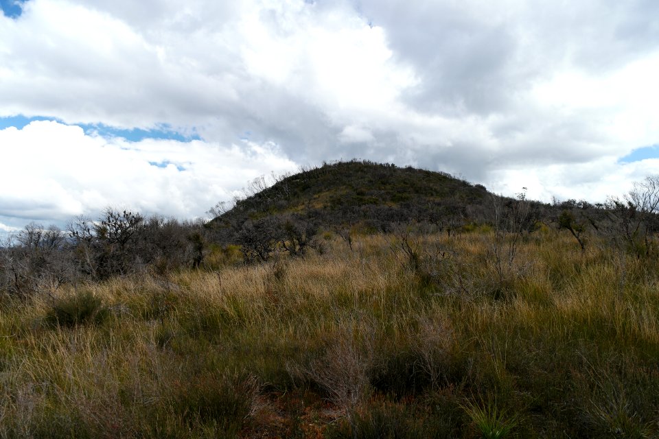 Wog Wog to Corang Peak, Corang Arch and Canowrie Brook, Morton National Park 104