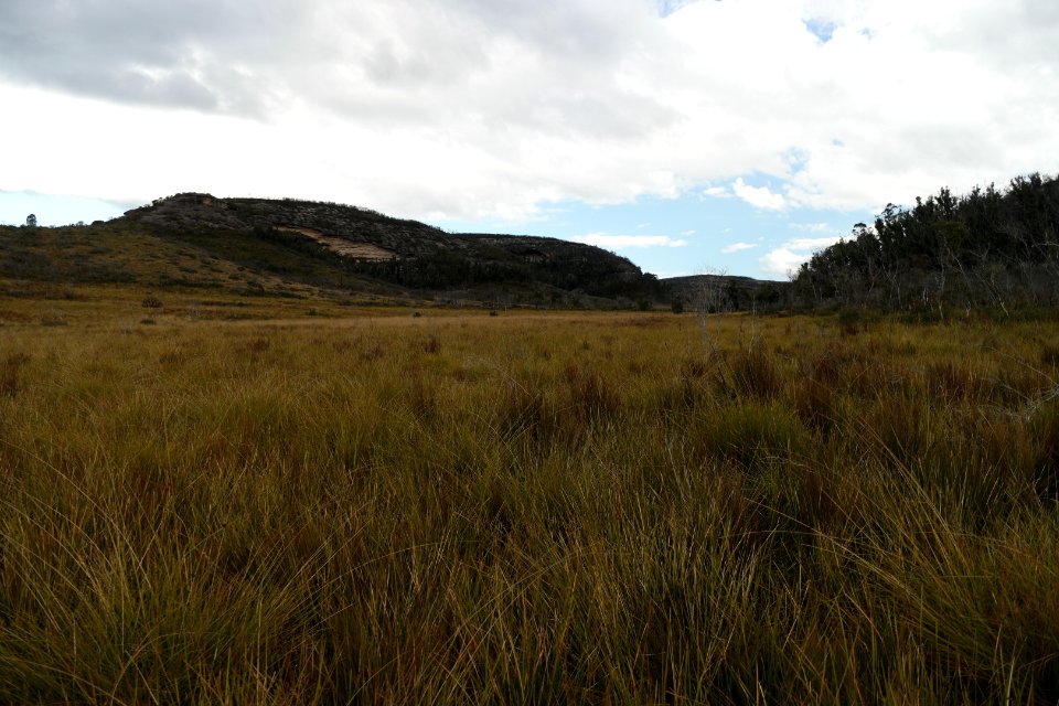 Wog Wog to Corang Peak, Corang Arch and Canowrie Brook, Morton National Park 184