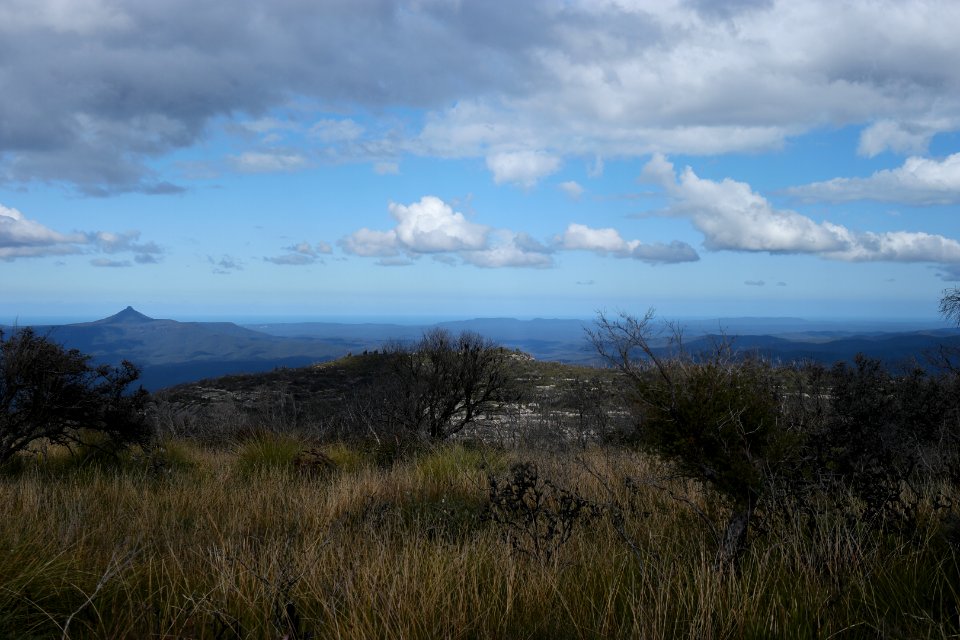 Wog Wog to Corang Peak, Corang Arch and Canowrie Brook, Morton National Park 103