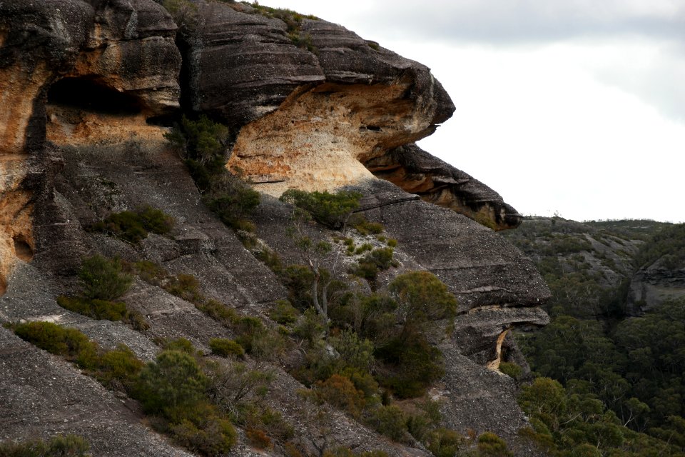 Wog Wog to Corang Peak, Corang Arch and Canowrie Brook, Morton National Park 166