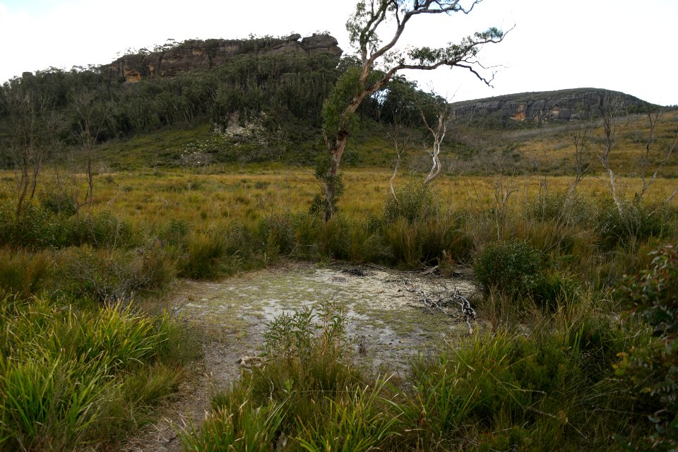 Wog Wog to Corang Peak, Corang Arch and Canowrie Brook, Morton National Park 179