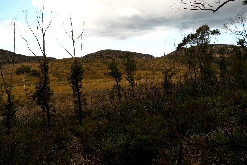 Wog Wog to Corang Peak, Corang Arch and Canowrie Brook, Morton National Park 173