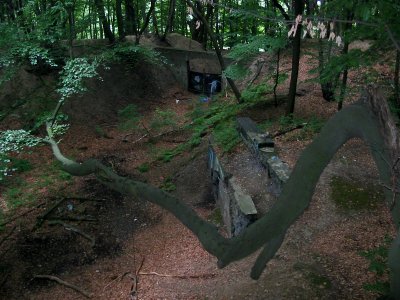 Witten Bunker Steinberg