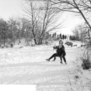 Witte kerst, sleetje rijden op het kopje van Bloemendaal, Bestanddeelnr 917-2754 photo