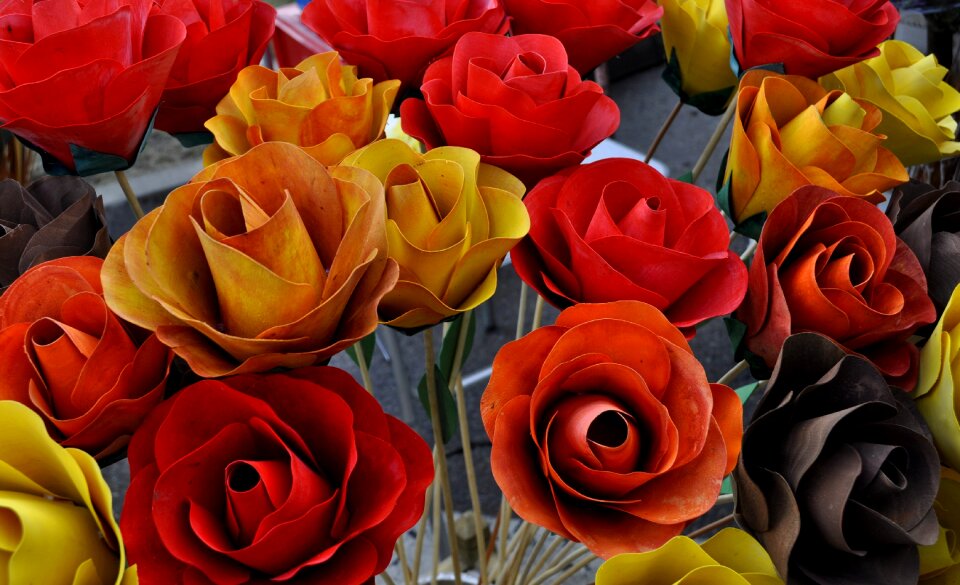 Petal gift color