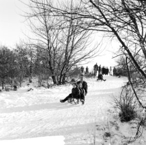 Witte kerst, sleetje rijden op het kopje van Bloemendaal, Bestanddeelnr 917-2753 photo