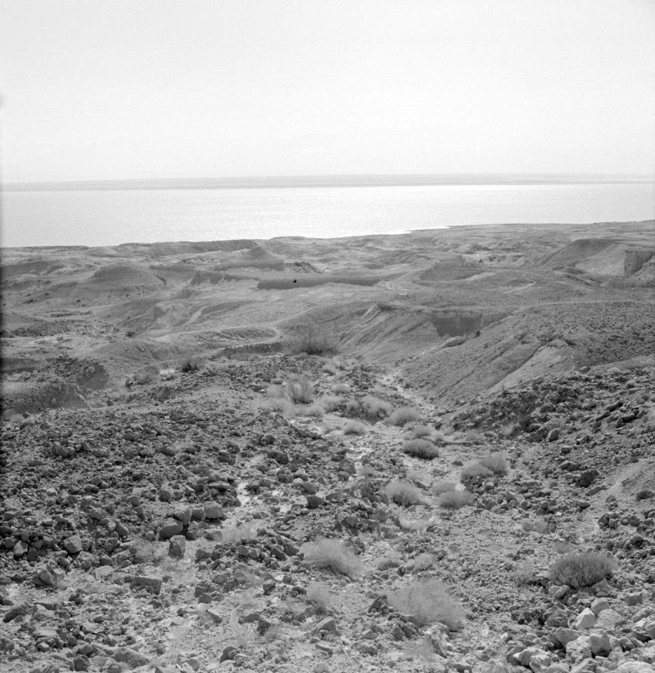 Woest landschap met uitzicht op de Dode Zee bij En Gedi, Bestanddeelnr 255-2714
