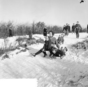 Witte kerst, sleetje rijden op het kopje van Bloemendaal, Bestanddeelnr 917-2752 photo