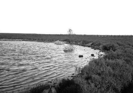 Woeste gronden, natuurschoon, plassen, Bestanddeelnr 162-1165