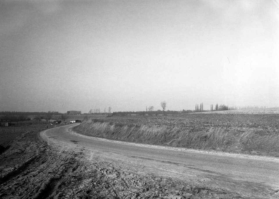 Woeste gronden, natuurschoon, landschappen, België, Vlijbinge, Bestanddeelnr 162-1242