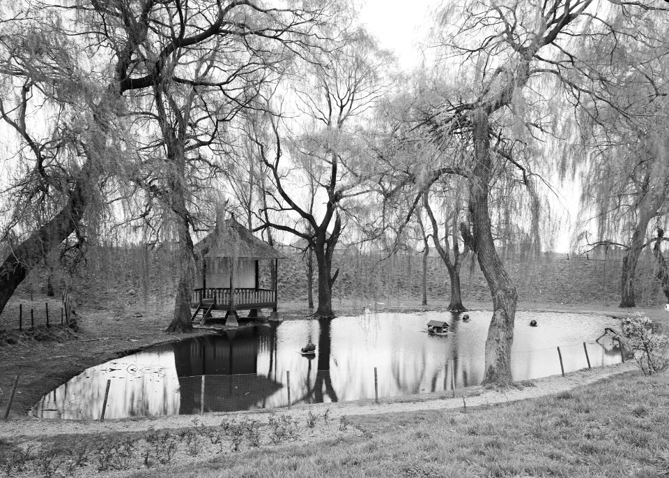 Woeste gronden, natuurschoon, de plas, Bestanddeelnr 162-1303