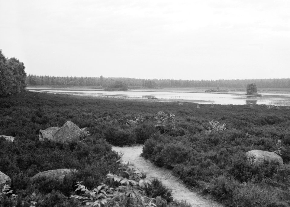 Woeste gronden, natuurschoon, ven, Bestanddeelnr 162-1118