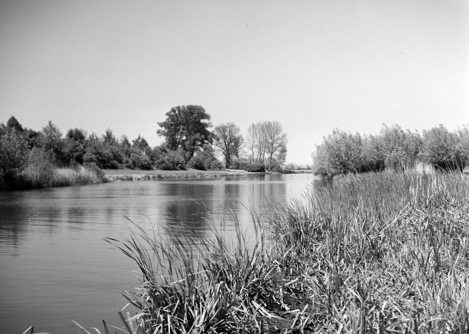 Woeste gronden, natuurschoon, rivieren, boten, De Linge, Landgoed Marienwaard, Bestanddeelnr 162-1225