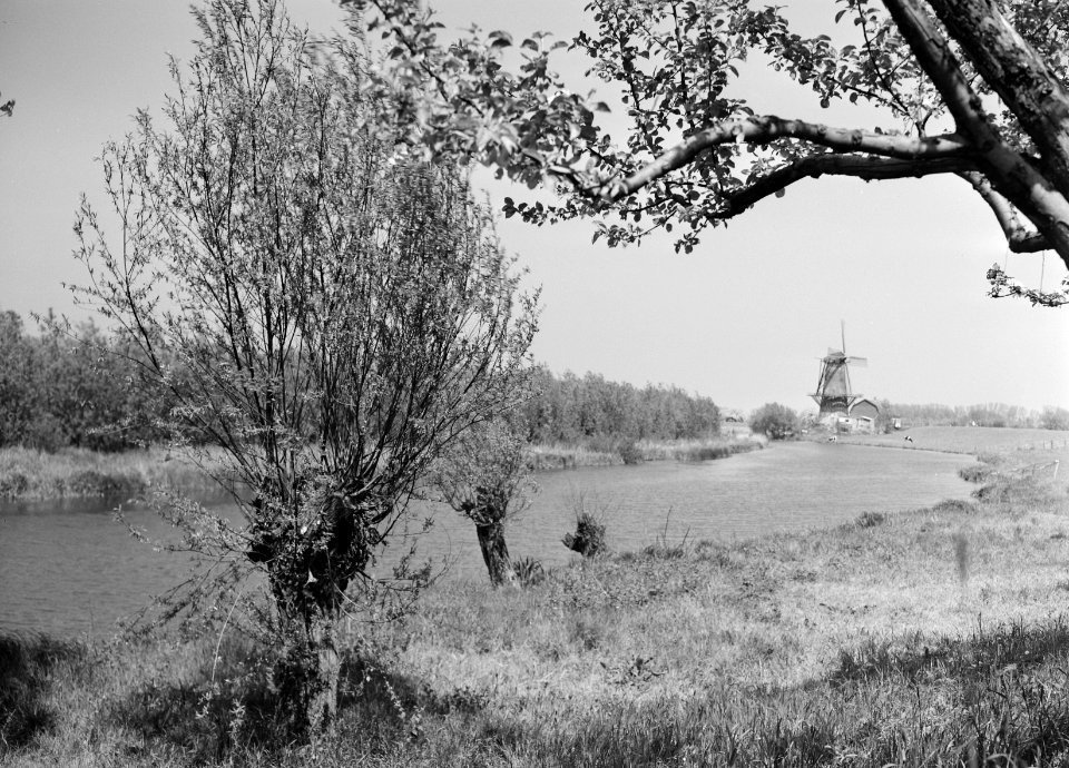 Woeste gronden, natuurschoon, molens, landgoederen, linge, marienwaard, Bestanddeelnr 250-8178