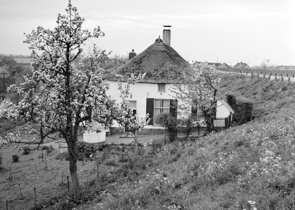 Woeste gronden, natuurschoon, bomen, bloei, boerderijen, Bestanddeelnr 162-1214