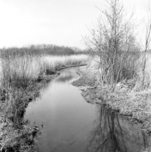 Woeste gronden, natuurschoon, rivieren, natuurreservaten, de strijper aa, Bestanddeelnr 162-1244