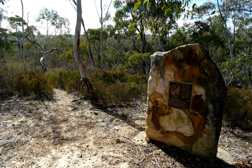 Wog Wog to Corang Peak, Corang Arch and Canowrie Brook, Morton National Park 01