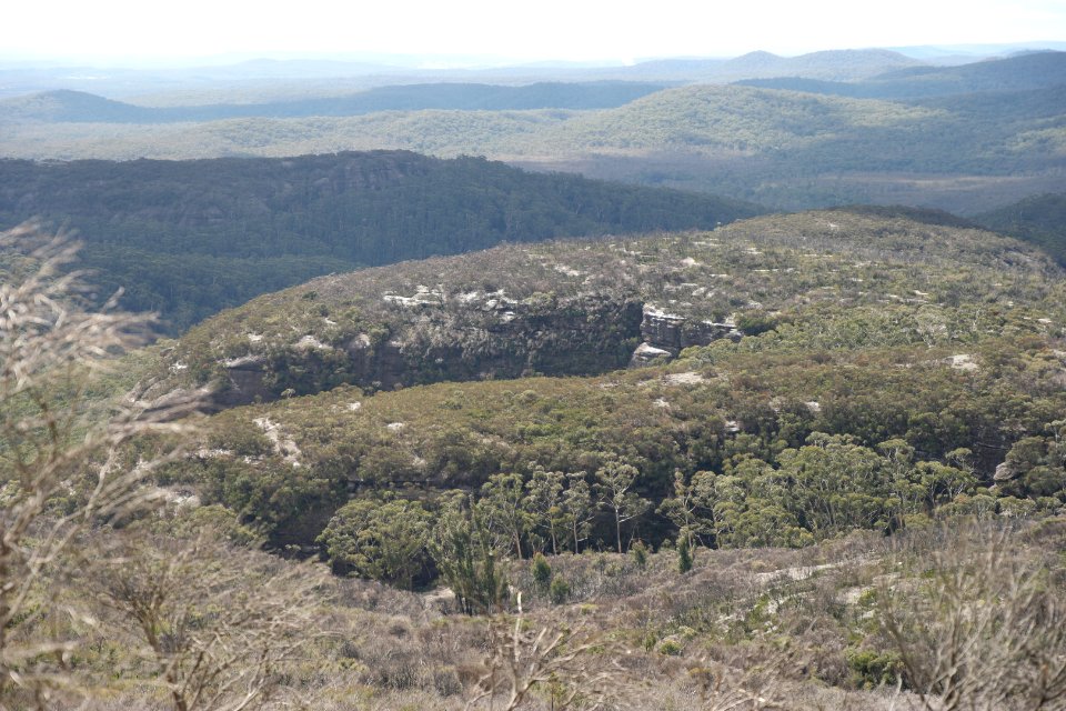 Wog Wog to Corang Peak, Corang Arch and Canowrie Brook, Morton National Park 121
