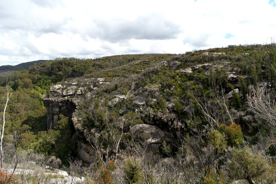 Wog Wog to Corang Peak, Corang Arch and Canowrie Brook, Morton National Park 94