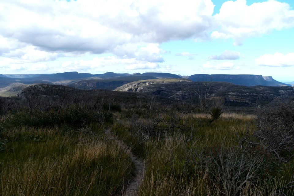 Wog Wog to Corang Peak, Corang Arch and Canowrie Brook, Morton National Park 134