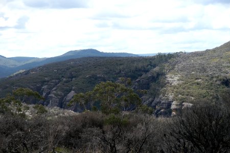 Wog Wog to Corang Peak, Corang Arch and Canowrie Brook, Morton National Park 97