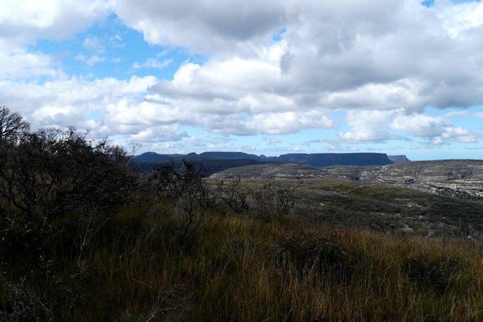 Wog Wog to Corang Peak, Corang Arch and Canowrie Brook, Morton National Park 115