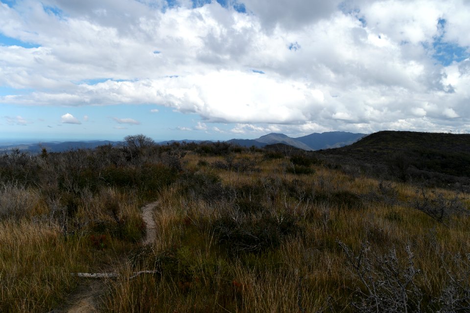 Wog Wog to Corang Peak, Corang Arch and Canowrie Brook, Morton National Park 113