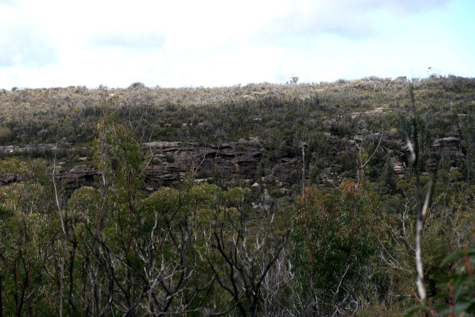 Wog Wog to Corang Peak, Corang Arch and Canowrie Brook, Morton National Park 82