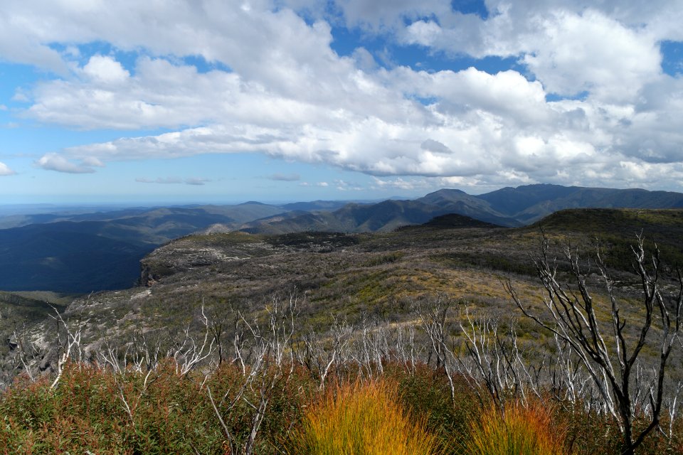 Wog Wog to Corang Peak, Corang Arch and Canowrie Brook, Morton National Park 118
