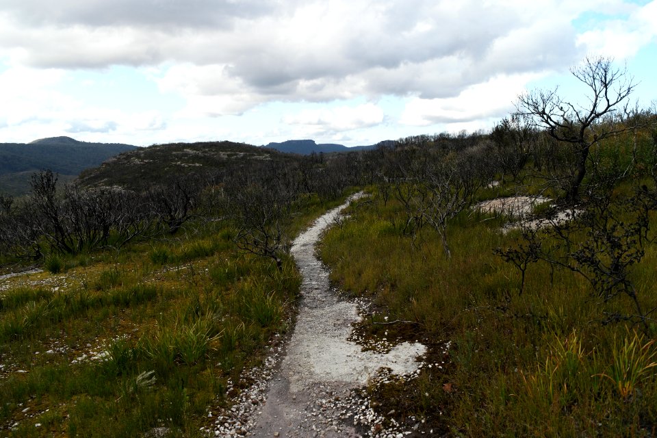 Wog Wog to Corang Peak, Corang Arch and Canowrie Brook, Morton National Park 138