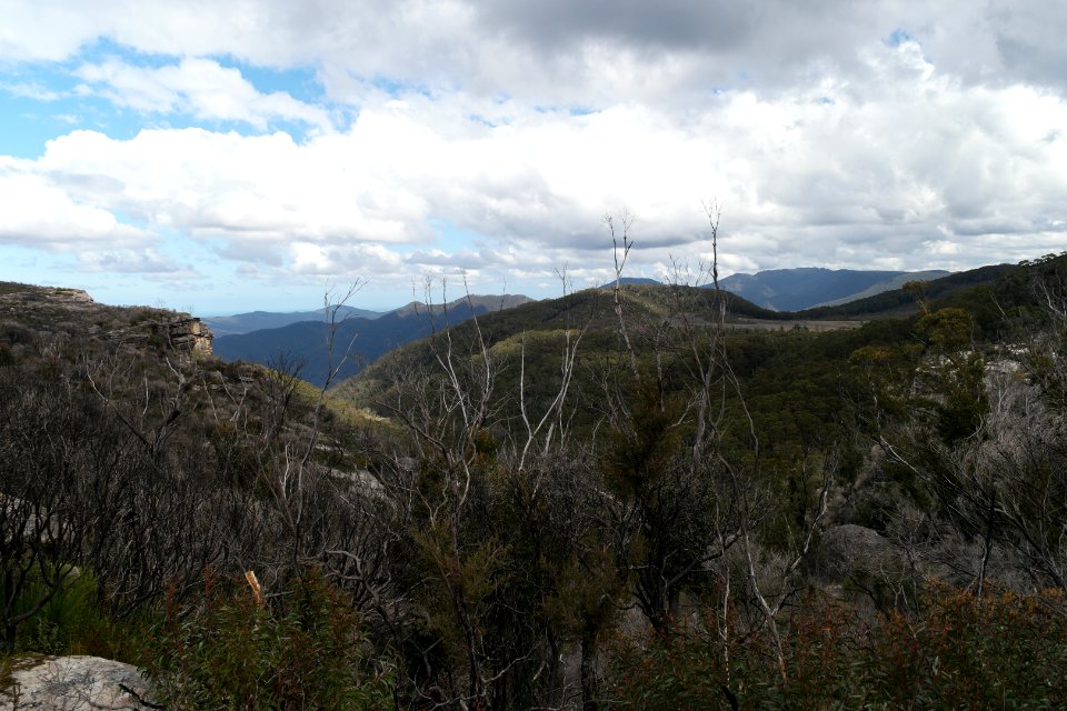 Wog Wog to Corang Peak, Corang Arch and Canowrie Brook, Morton National Park 92