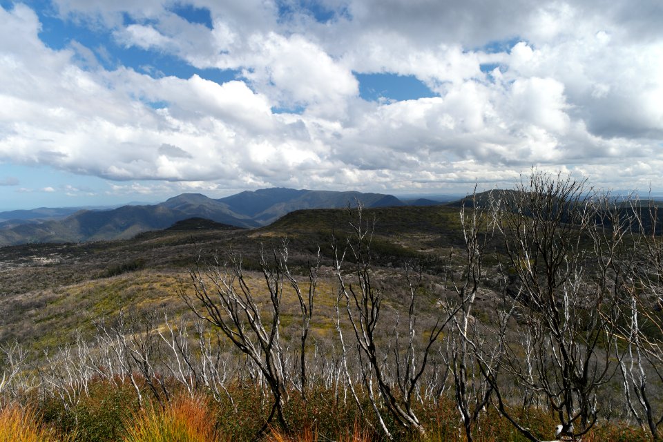 Wog Wog to Corang Peak, Corang Arch and Canowrie Brook, Morton National Park 120