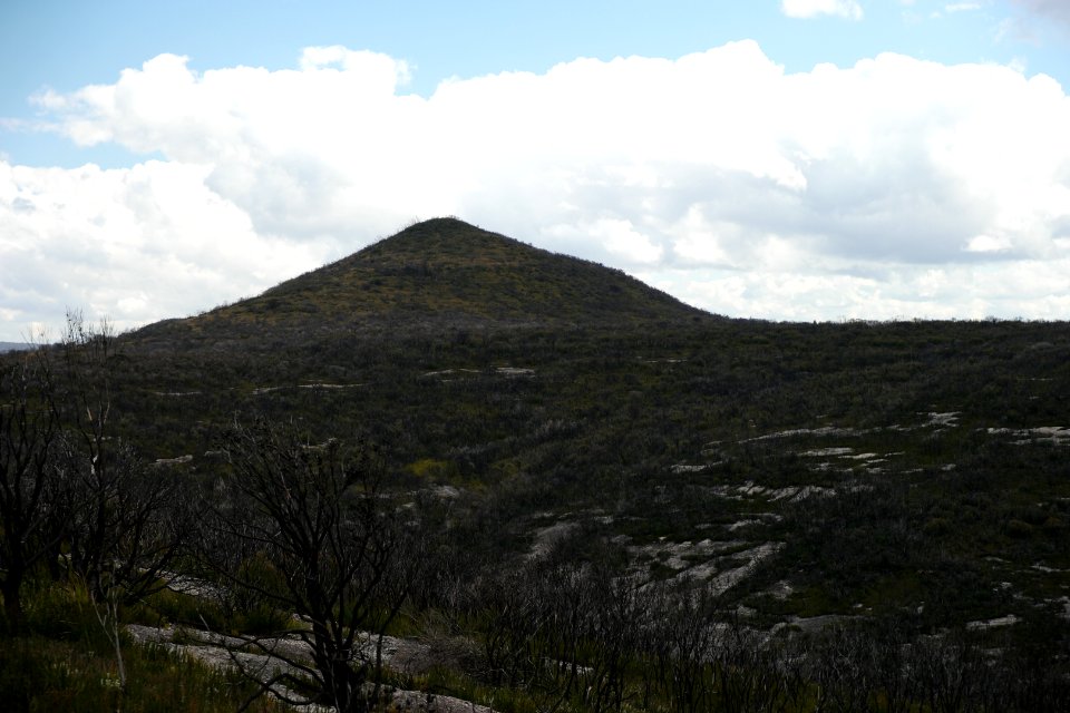 Wog Wog to Corang Peak, Corang Arch and Canowrie Brook, Morton National Park 144