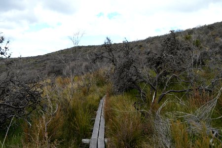 Wog Wog to Corang Peak, Corang Arch and Canowrie Brook, Morton National Park 96