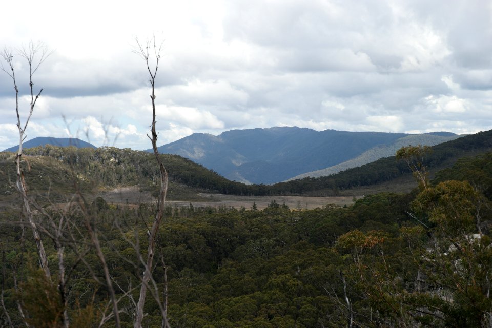 Wog Wog to Corang Peak, Corang Arch and Canowrie Brook, Morton National Park 91