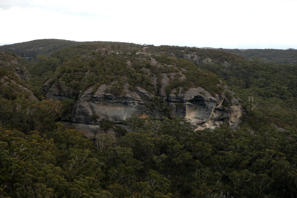 Wog Wog to Corang Peak, Corang Arch and Canowrie Brook, Morton National Park 142