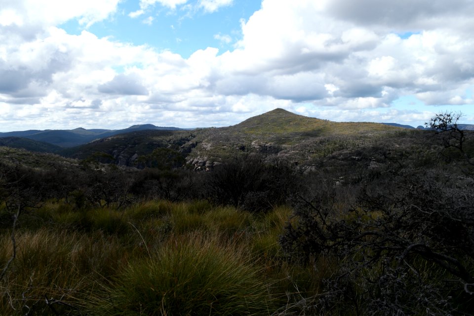 Wog Wog to Corang Peak, Corang Arch and Canowrie Brook, Morton National Park 95