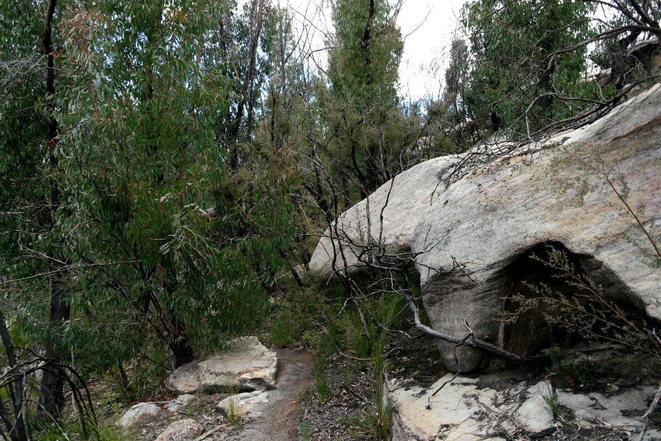 Wog Wog to Corang Peak, Corang Arch and Canowrie Brook, Morton National Park 72