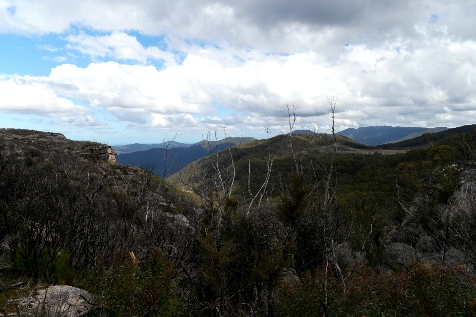 Wog Wog to Corang Peak, Corang Arch and Canowrie Brook, Morton National Park 89