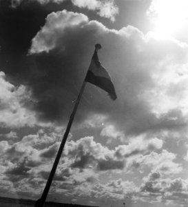 Wolkennegatieven, Bestanddeelnr 903-5037