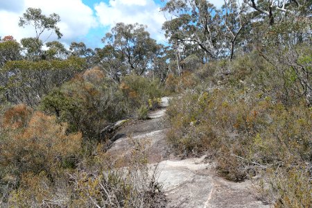 Wog Wog to Corang Peak, Corang Arch and Canowrie Brook, Morton National Park 58